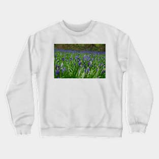 Bluebell blanket Crewneck Sweatshirt